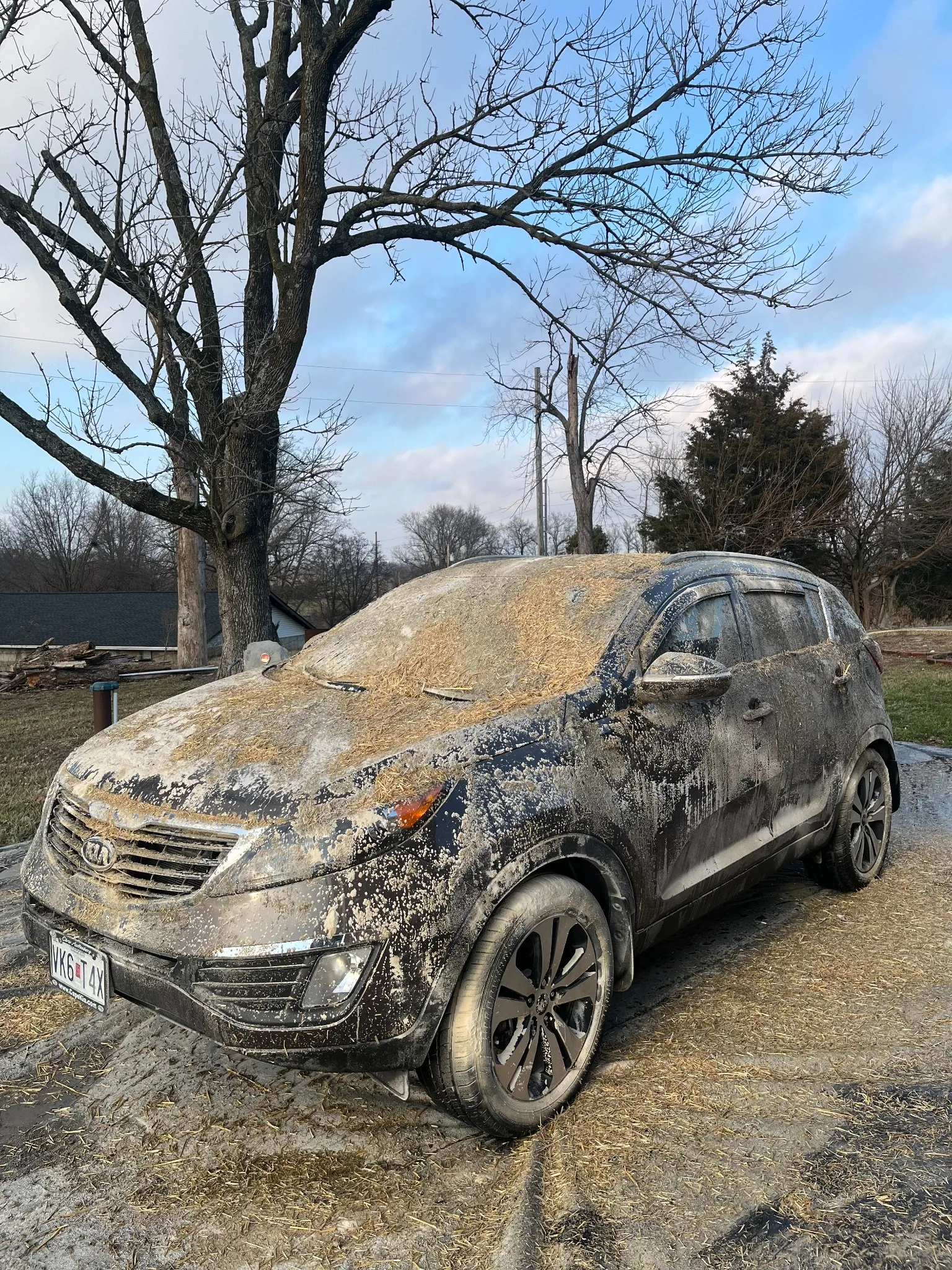 Vehicle before detailing - side view